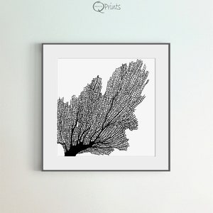 Coral Art Print, Set of 6 Printables, Black & White Coral Prints, Square Black and White Wall Art Print, DIY, Large Art, Sea Room Wall Décor image 6