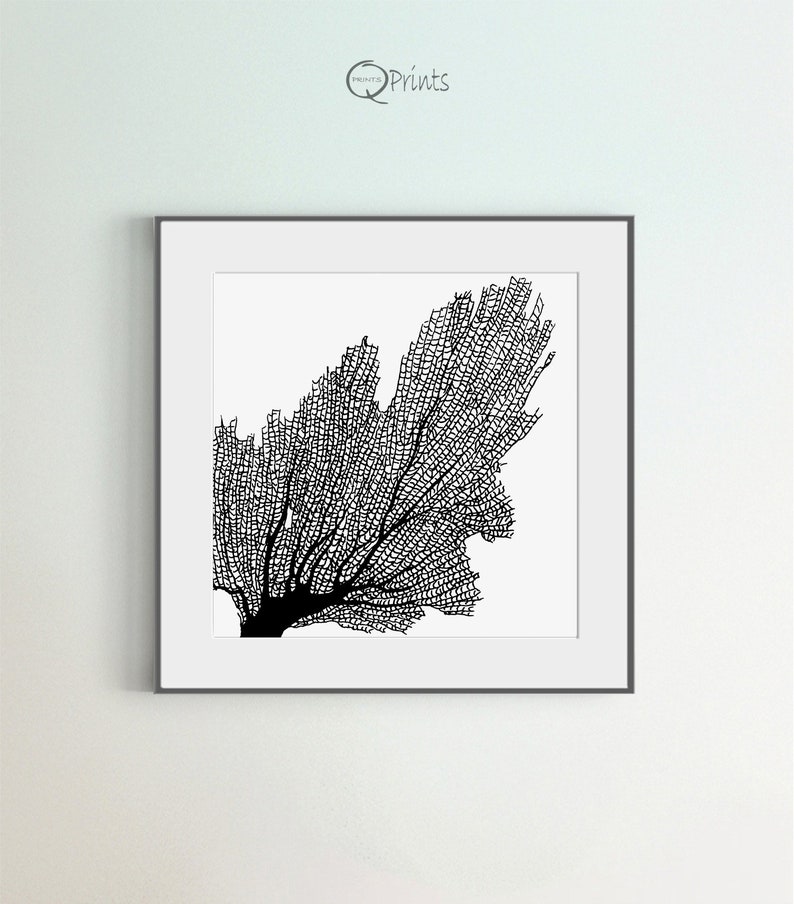 Coral Art Print, Set of 6 Printables, Black & White Coral Prints, Square Black and White Wall Art Print, DIY, Large Art, Sea Room Wall Décor image 6