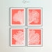Set of Coral Prints Set of 4 Printables Orange Coral Colour - Etsy