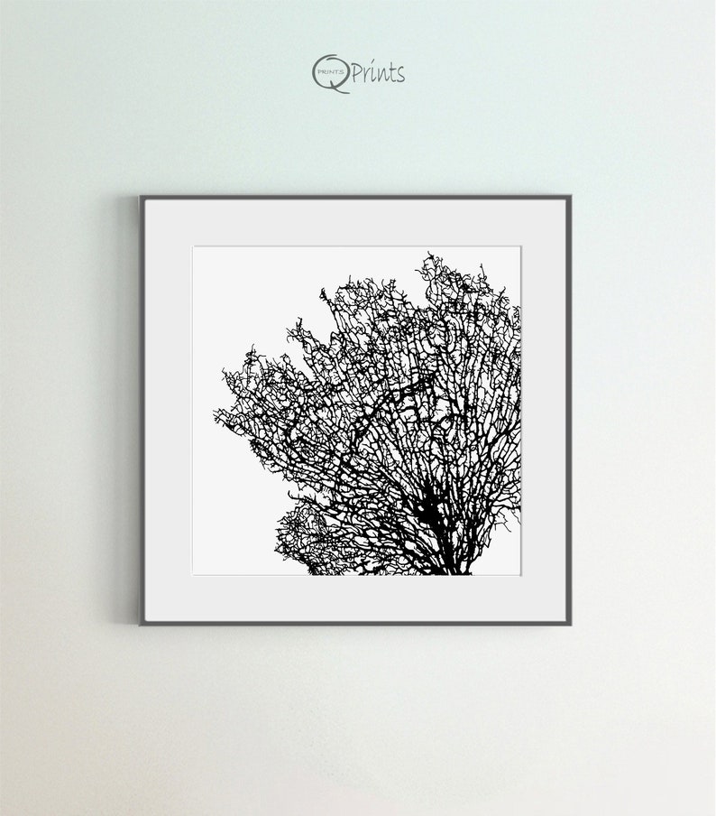 Coral Art Print, Set of 6 Printables, Black & White Coral Prints, Square Black and White Wall Art Print, DIY, Large Art, Sea Room Wall Décor image 7