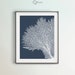 Set of Coral Prints Set of 4 Printables Navy Blue Art - Etsy