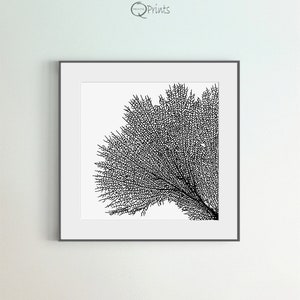 Coral Art Print, Set of 6 Printables, Black & White Coral Prints, Square Black and White Wall Art Print, DIY, Large Art, Sea Room Wall Décor image 4
