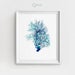 Coral Art Print Printable Teal Coral Digital Nautical Art - Etsy