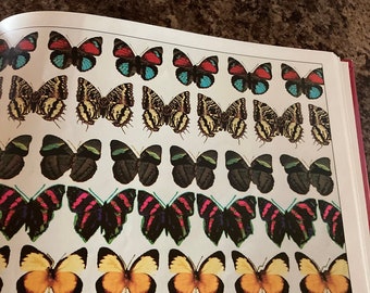 Download 3 D Magic Eye Book Etsy