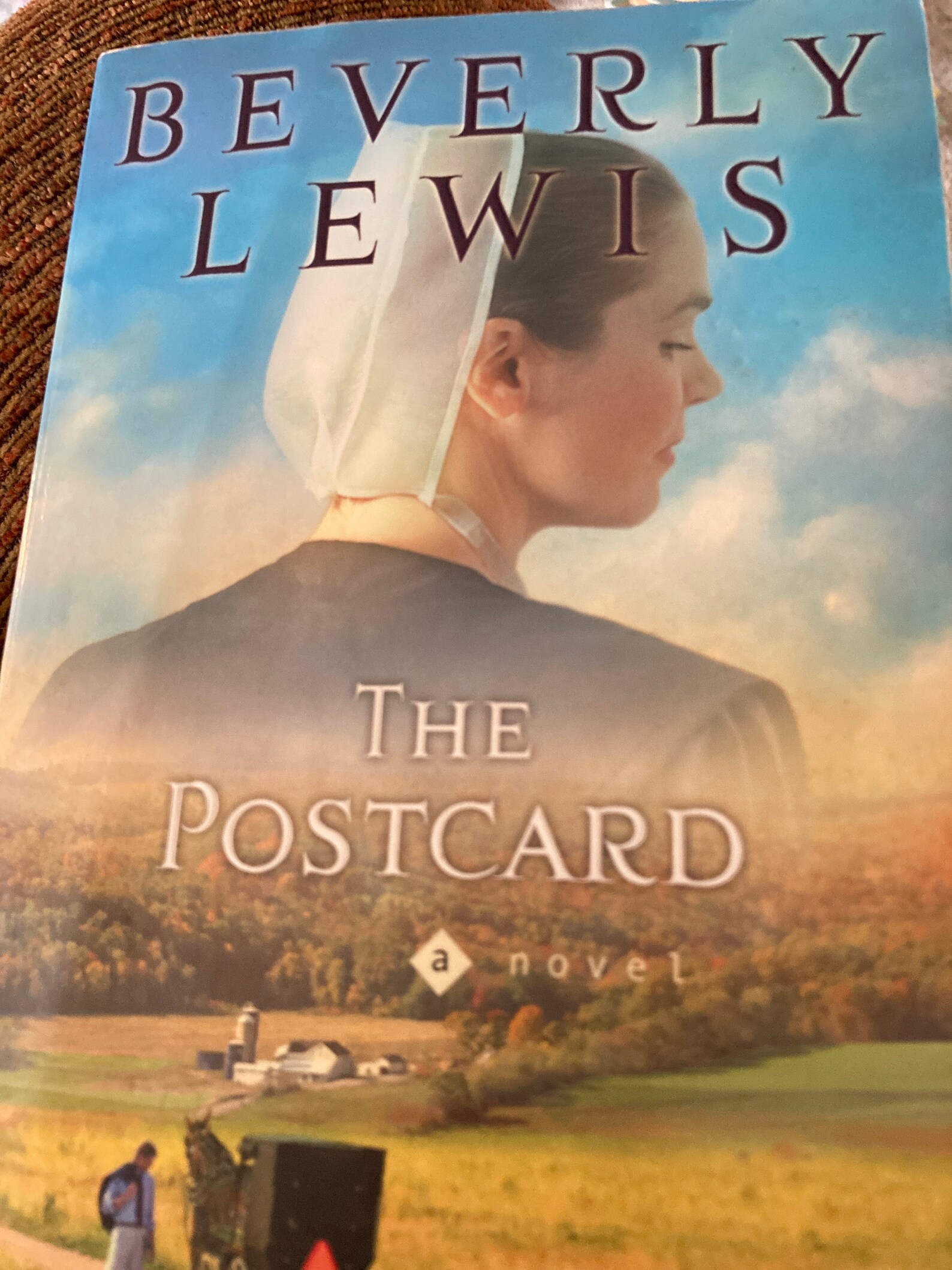 Beverly Lewis Books 2 Pack Etsy