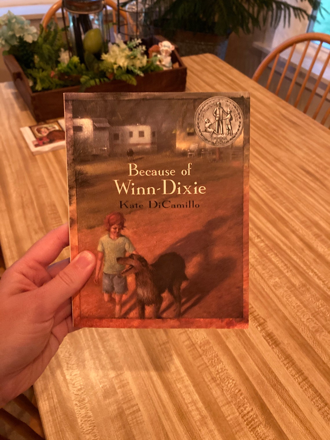 Because of Winn Dixie Great Condition Free Shipping Chapter Etsy