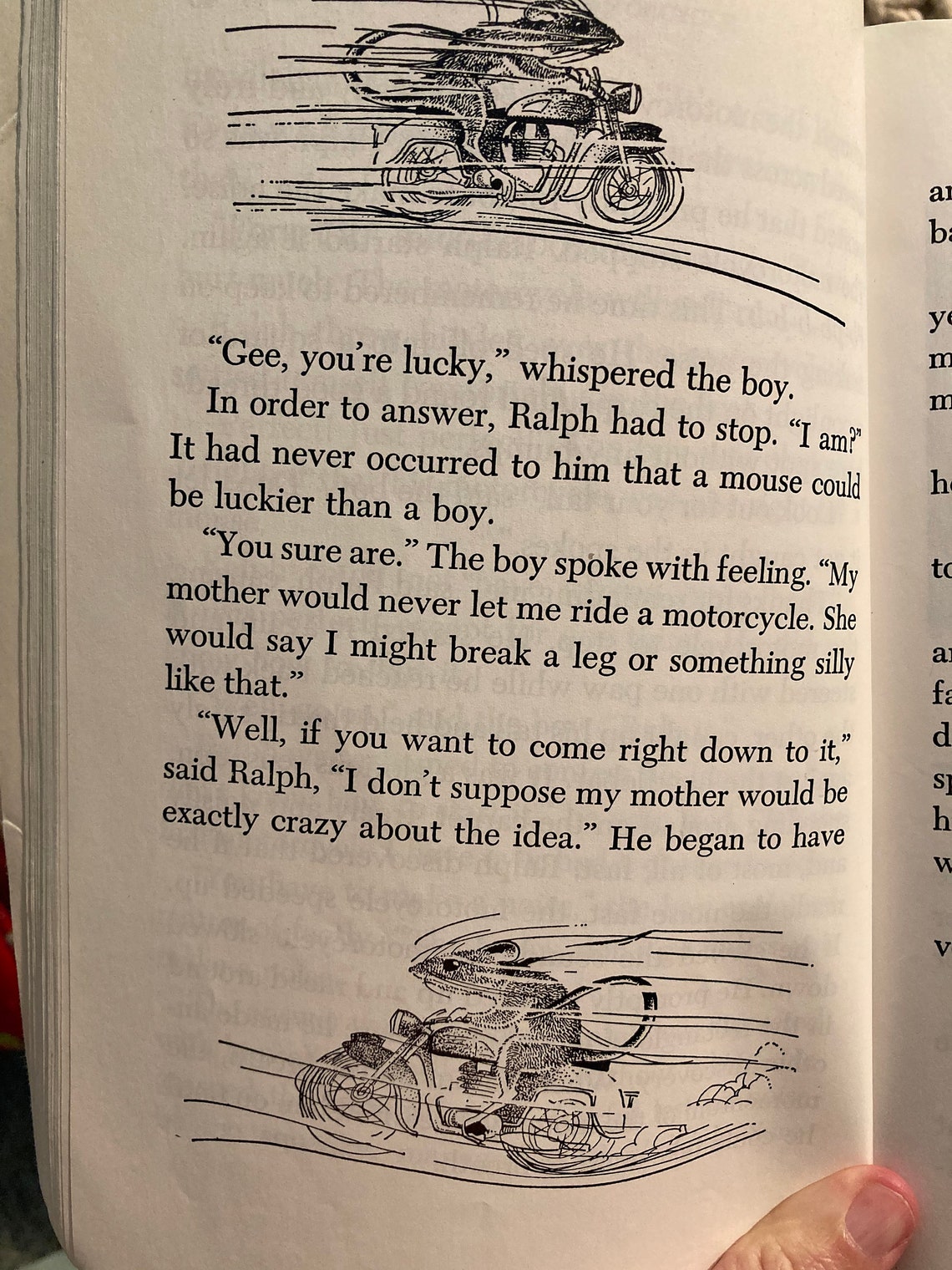 Mouse And The Motorcycle 3 Book Set Free Shipping by Beverly | Etsy