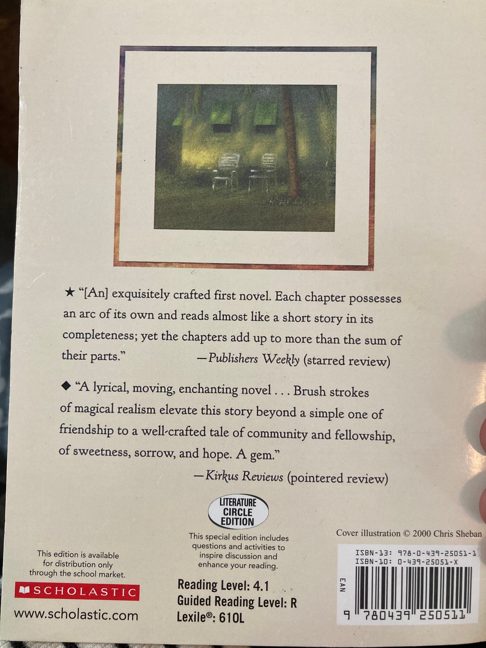 Because of Winn Dixie Chapter Book for kids Book about a Etsy