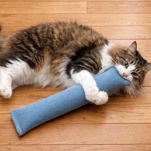 May include: A fluffy cat with brown, white, and black fur lies on a wooden floor, playfully biting a blue rectangular cat toy. The cat's green eyes are focused on the toy.