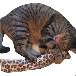 Refillable 15&quot; (Canvas) Catnip Cat Kicker Toys - Kitty Kick Sticks - Cat Nip Bunny Pillow (Kickers Filled with 1 oz Premium Canadian Catnip)