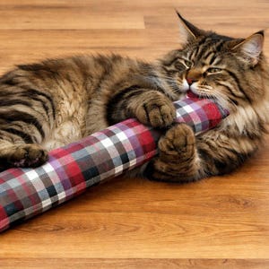 May include: A fluffy, brown tabby cat lies on a wooden floor, playfully holding a plaid, cylindrical cat toy. The toy features a pattern of red, white, and black squares. The cat's fur is long and textured.