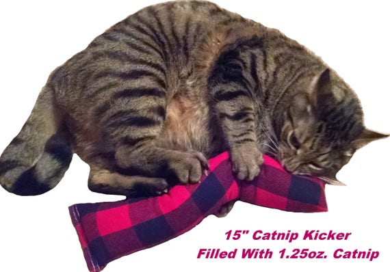 catnip kicker