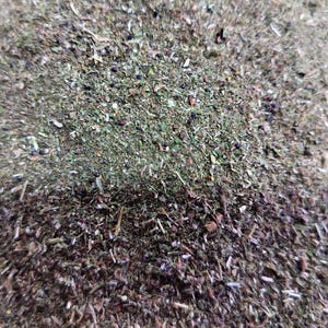 Fine Canadian Catnip for Cats – Strong Fresh Natural Nepeta Cataria – Catnip for Toys – Bulk Sizes – Resealable Bag image 3