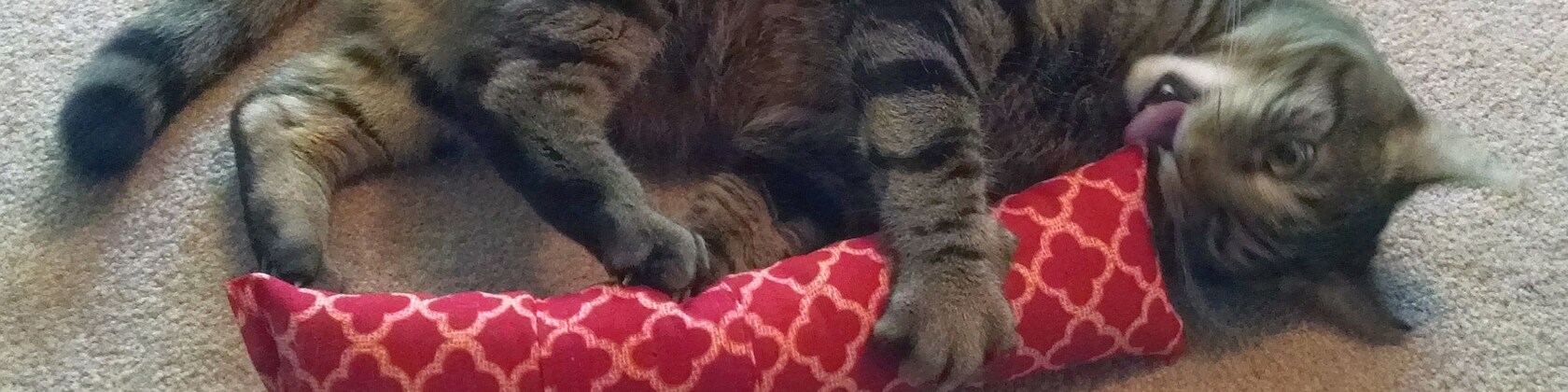 WestCoastPetProducts - Etsy