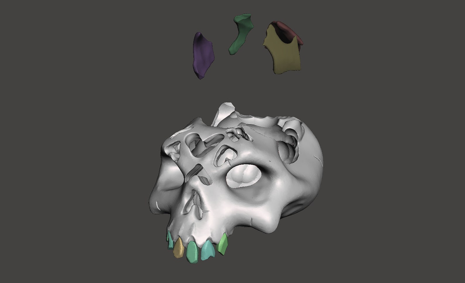 Sea of thieves villainous bounty skull 3D model OBJ Etsy