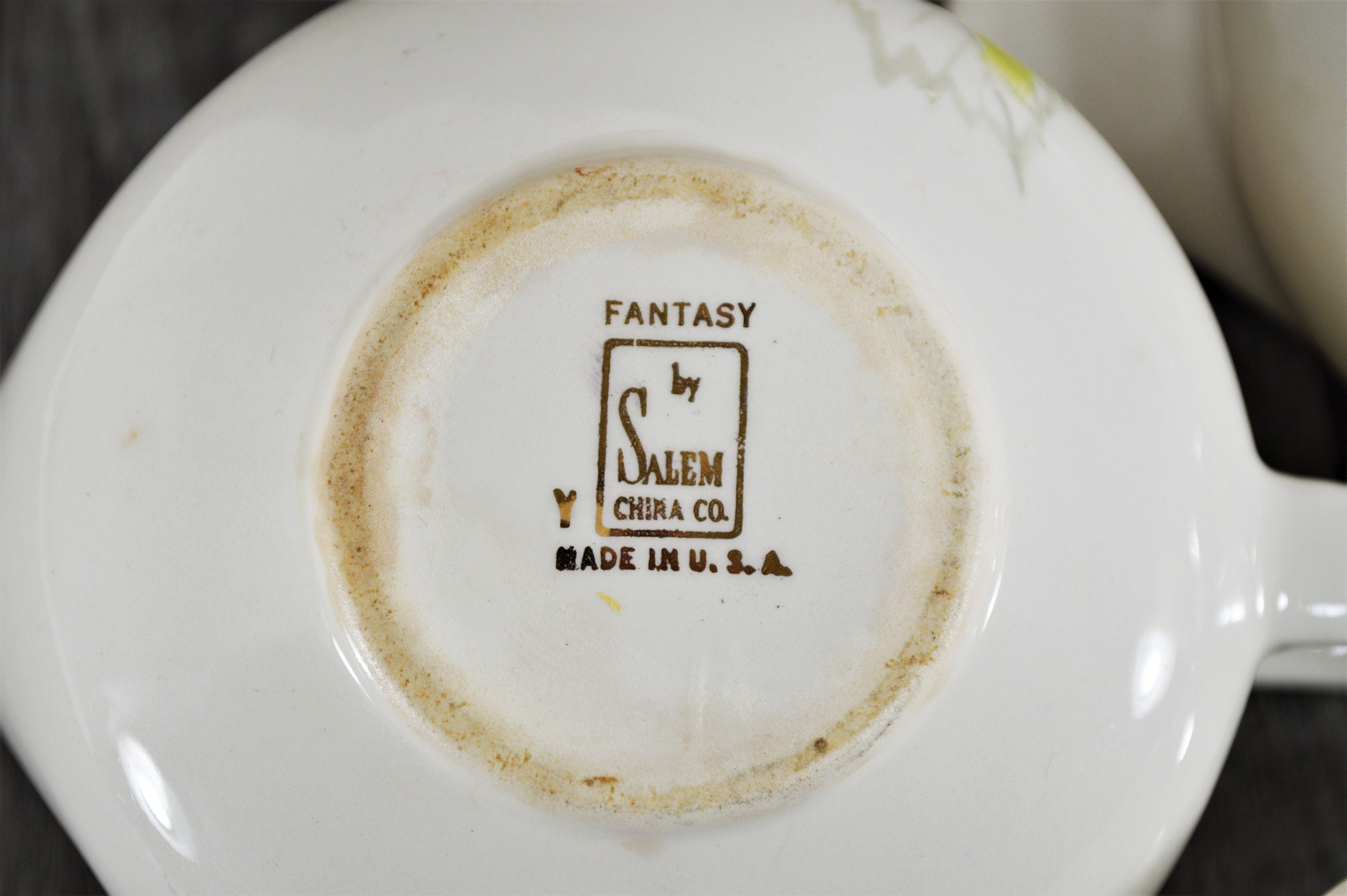 Vintage Sugar Bowl & Creamer Set, Fantasy by Salem China Co