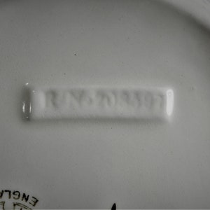 Picture of the possible run number and date or serial numbers on the bottom of the dish.
