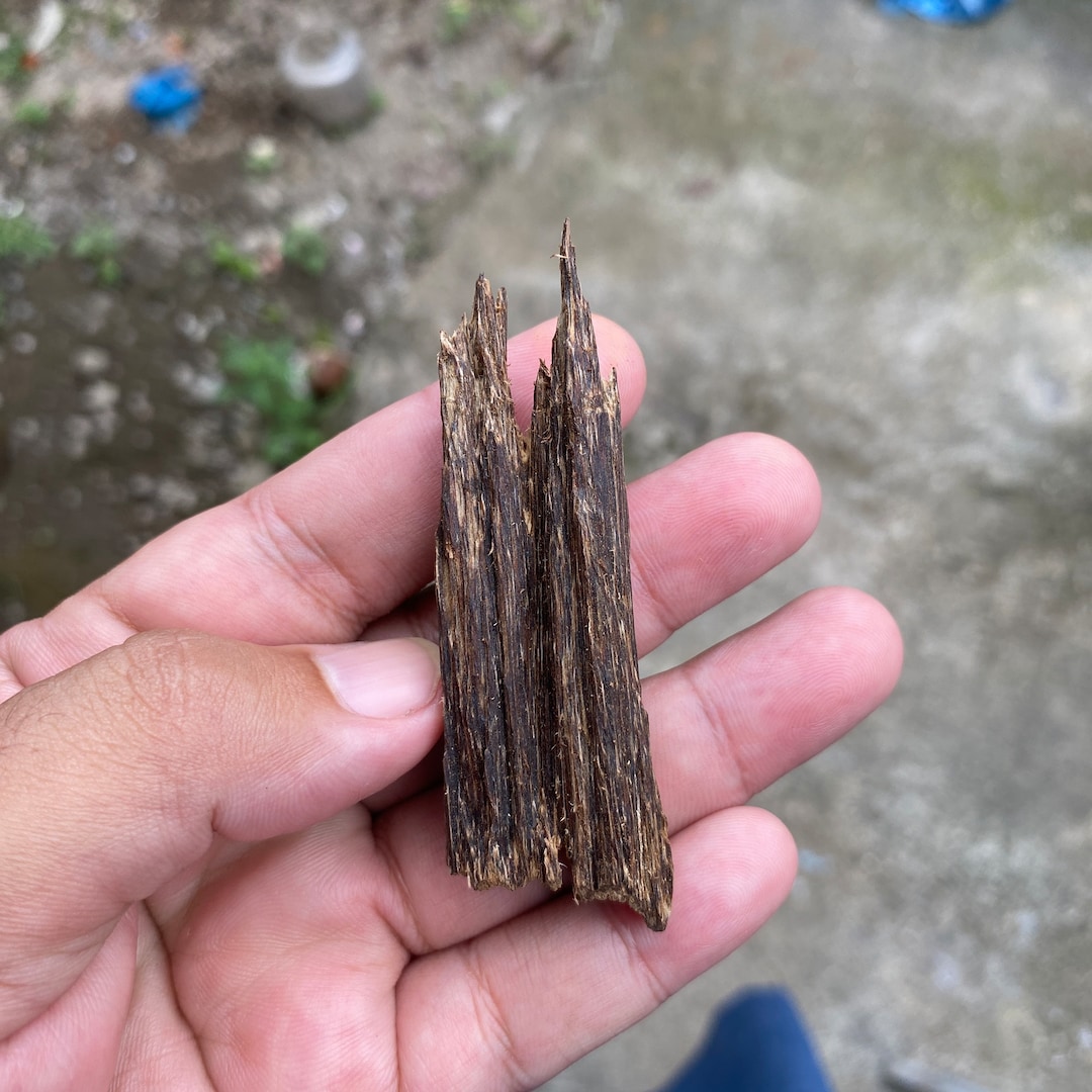 Agarwood Chips Incense Bakhoor Oud Chips Jinko Natural Wild Super Grade ...