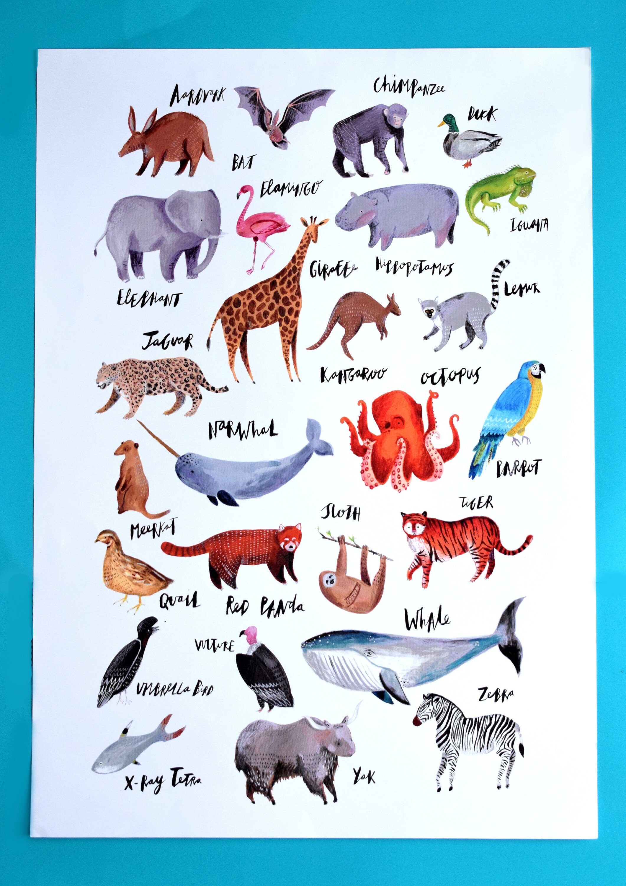 A to Z of Animals Poster - Etsy Norway A to Z of Animals Poster - Etsy Norway