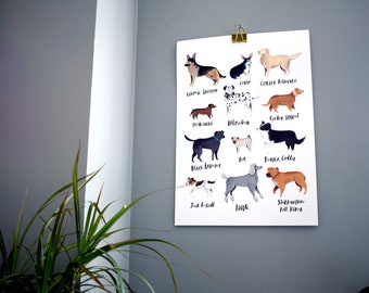 Dog Breeds Print