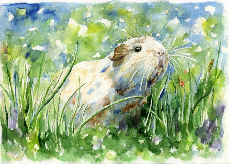 Guinea Pig Original Watercolor Painting Green Watercolor Wall Etsy