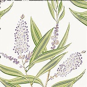 Winter Bud Floral Wallpaper by Thibaut/Anna French