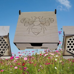 Honeycomb Coaster Set: Birch Plywood Bee Lover Gift with Storage Box