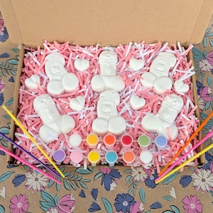 May include: A cardboard box filled with pink and white shredded paper containing five white phallic-shaped plaster figures, several small white heart-shaped pieces, a strip of twelve small paint pots in various colors, and four thin paintbrushes.