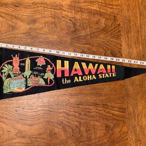 1960s Hawaii Souvenir Felt Pennant with Icons and Landmarks