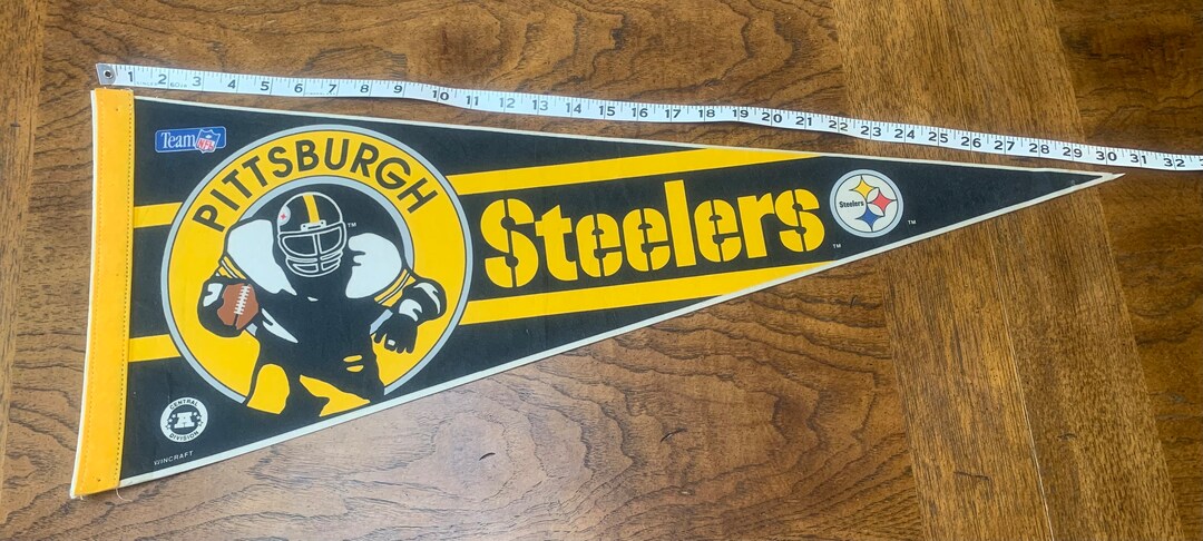 Pittsburgh Steelers NFL Filadélfia Eagles Oakland Raiders, NFL
