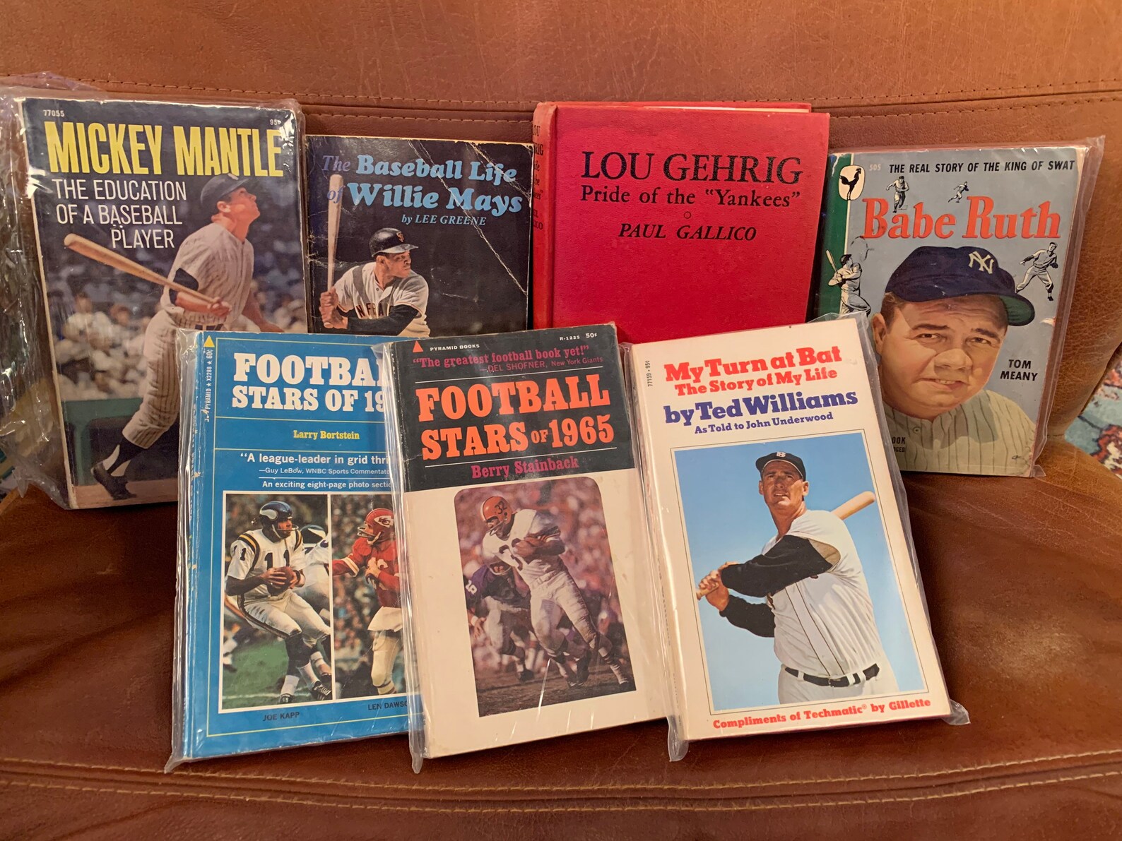 Amazing Vintage Sports Book Collection Willie Mays, Mickey Mantle, Ted