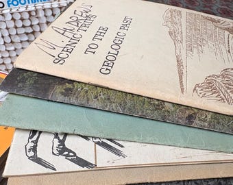 Vintage Lot of 5 Booklets About New Mexico: Tourist Guide 1955 Taos Santa Fe, Don Diego Hotel, Adobe Palace, Frijoles Ruins, Silver City