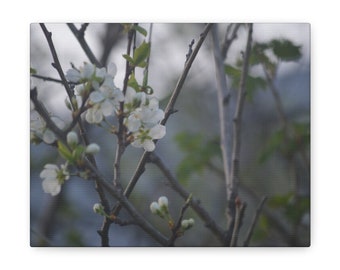 impression sur toile printemps