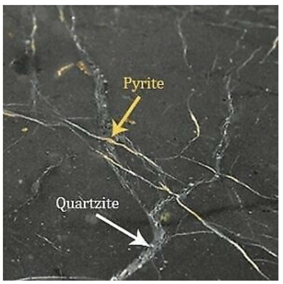 Shungite Crystal Stone EMF Protection Orgone Pendant With Tree Of Life Logo Energy Pendant At ₹ 199/piece In Khambhat