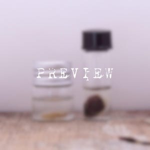 Real Frog Heart and Tongue Wet Specimen Heart in a Jar