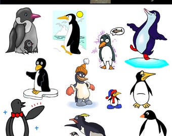 penguin graphics etsy