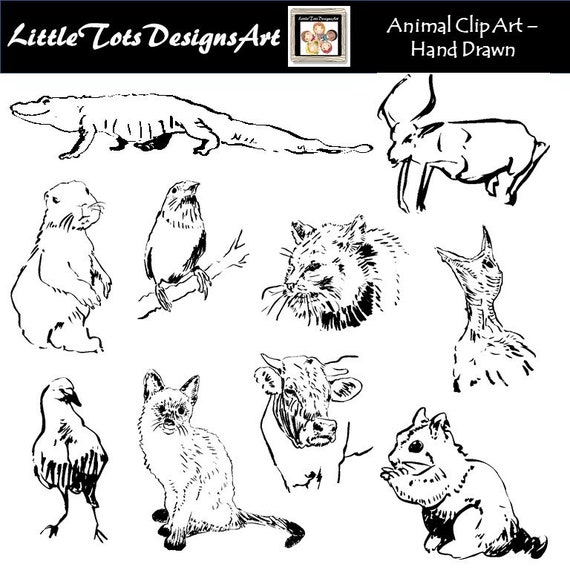 Clipart Disegnato A Mano Disegni Animali Bosco Safari Animali Etsy
