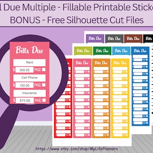 Pegatinas de Bill Due Planner, pegatinas del planificador, rellenables, múltiples pegatinas de Bill Due, planificador feliz, Erin Condren, descarga digital PDF