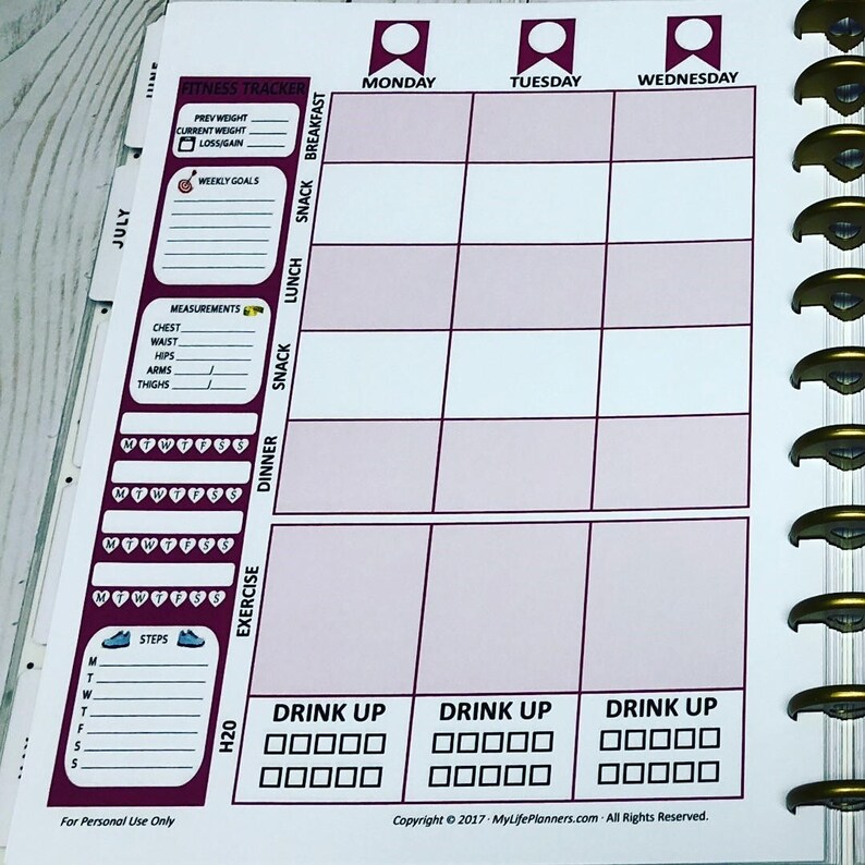 BIG Fitness Happy Planner Inserts Printable Fitness Inserts Etsy