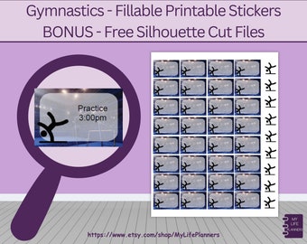Gymnastics Planner Stickers: Fillable, Printable (PDF Digital Download)