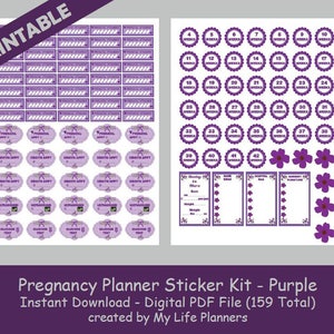 Pregnancy Planner Sticker Kit, Pregnancy Milestone Stickers, Pregnancy ...