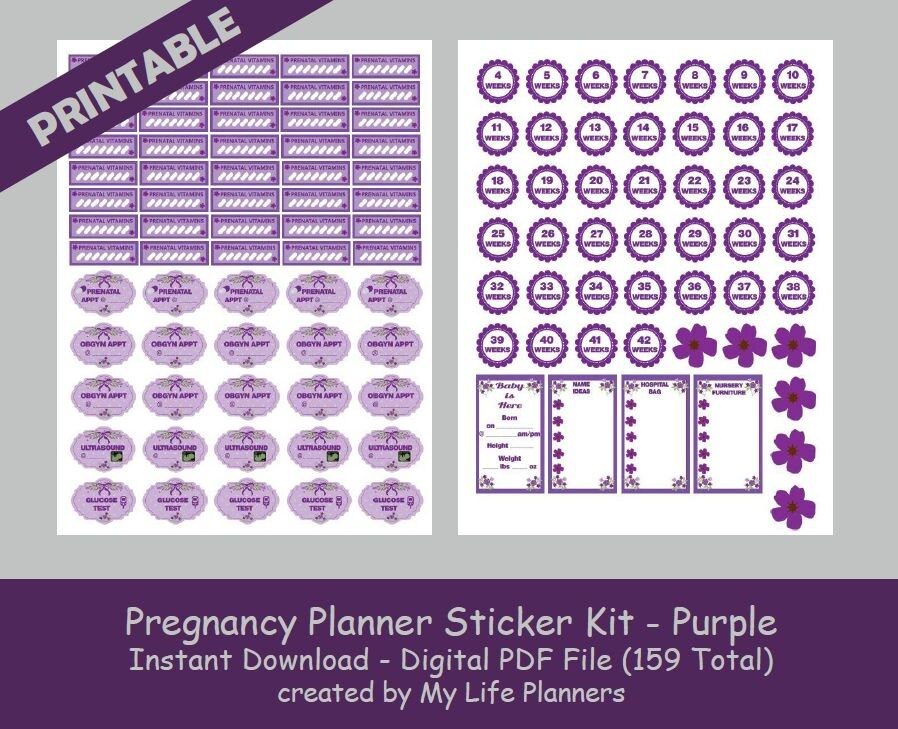 Pregnancy Planner Sticker Kit Pregnancy Milestone Stickers | Etsy