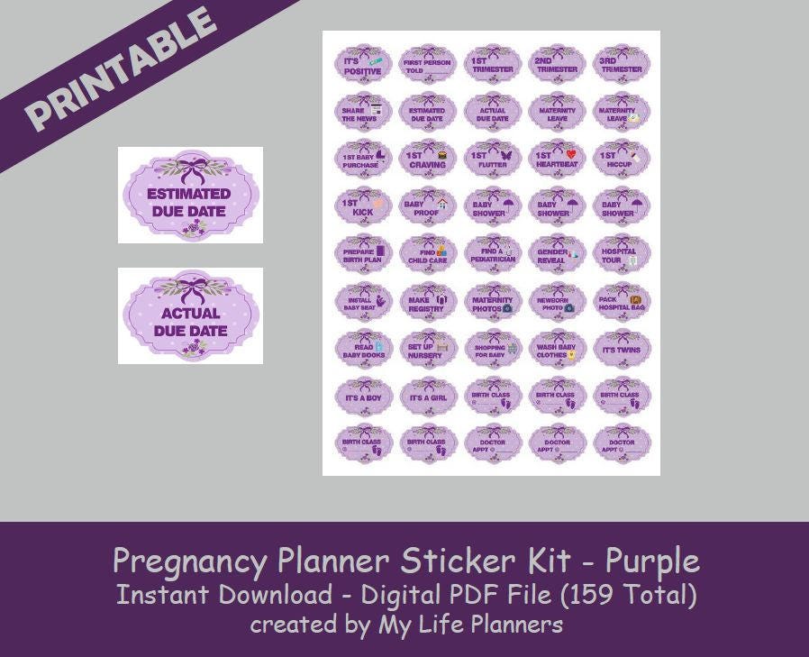 Pregnancy Planner Sticker Kit Pregnancy Milestone Stickers | Etsy
