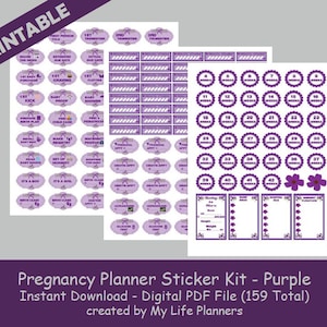 Pregnancy Planner Sticker Kit, Pregnancy Milestone Stickers, Pregnancy ...