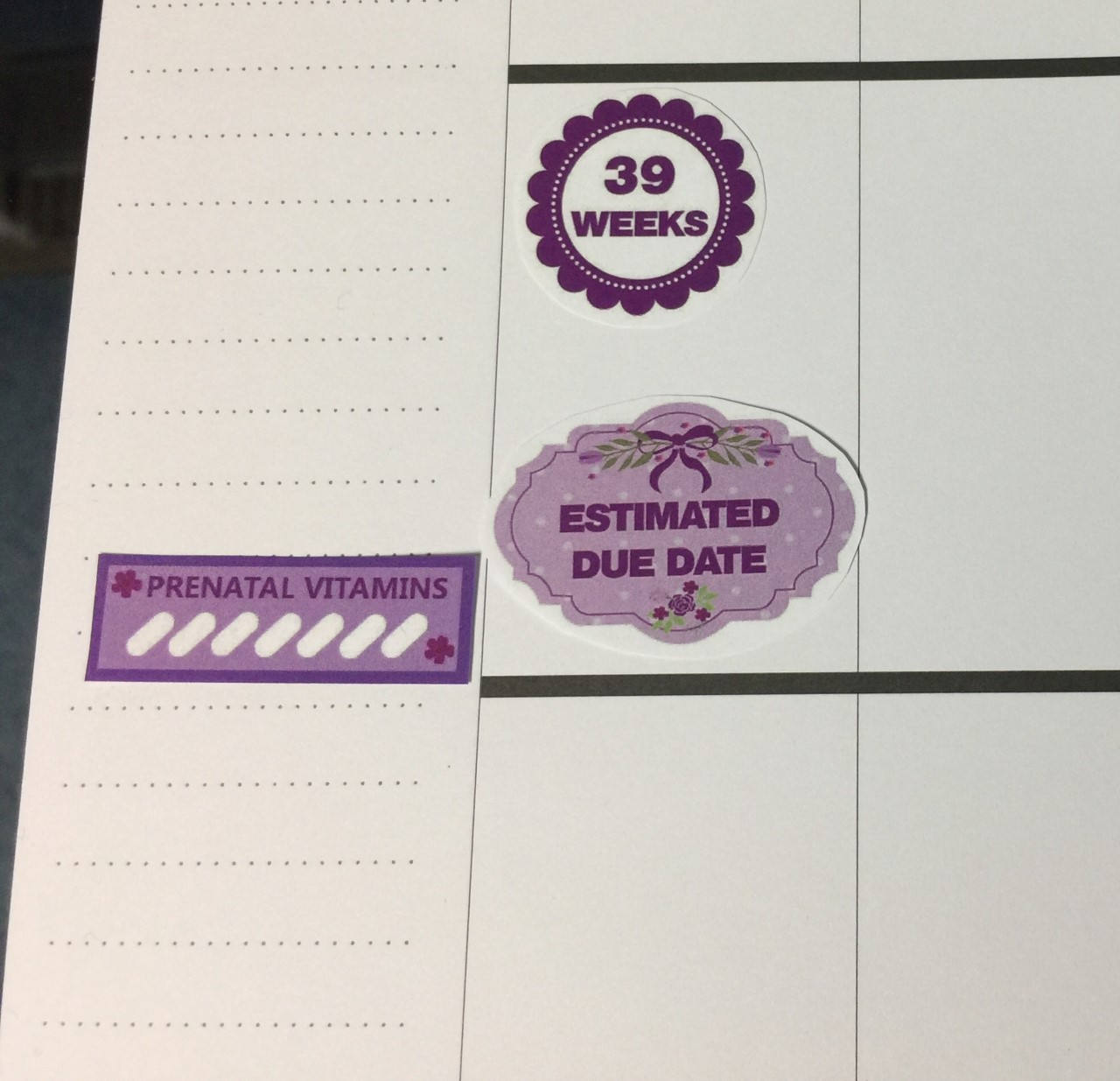Pregnancy Planner Sticker Kit Pregnancy Milestone Stickers | Etsy
