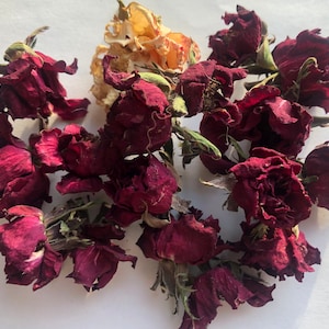 Tea Rose Blossoms | 7g+