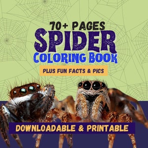Spider Digital Coloring Book for Kids 70+ pages - Coloring Pages for Boys - Spider Coloring Pages - Tarantula, Insects, Facts, Photography