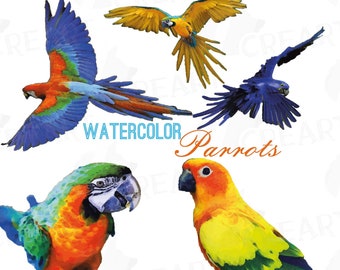 Watercolor Parrots clip art collection, colorful watercolor parrot, tropical bird, diy invitation, PNG, jpg, pdf, eps, vector files included