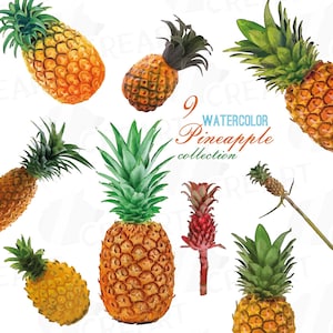 Paquete de imágenes prediseñadas de piña en acuarela, imágenes prediseñadas de piña en acuarela, fruta exótica, archivos png, pdf, jpg, svg, eps y vectoriales imprimibles incluidos.