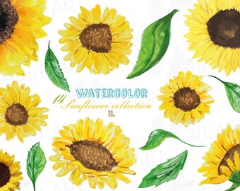 Download Sunflower svg | Etsy